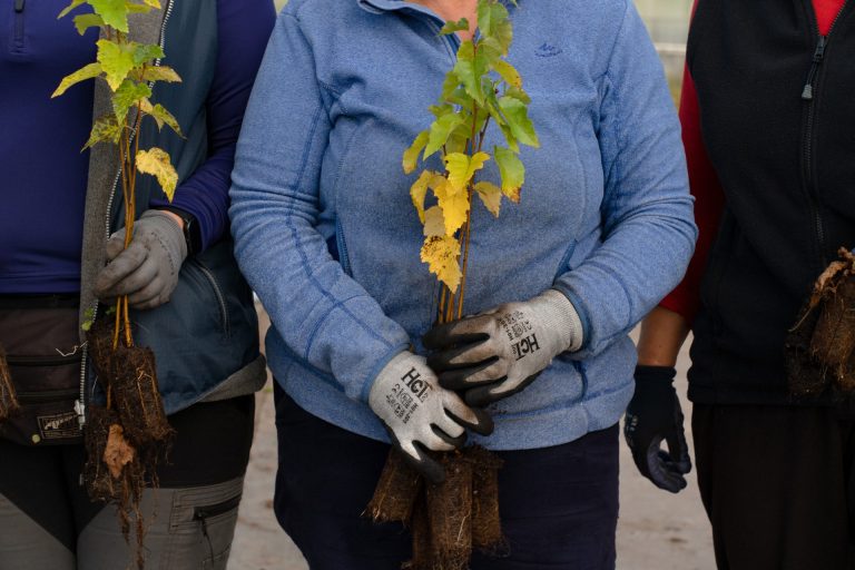 Broken Woodlands: Online photo exhibition: Deforestation & Nature Transformation | Martina Sedda - Artihost Panevėžys