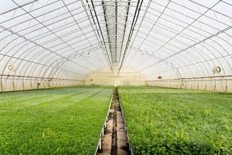 Broken Woodlands: Online photo exhibition: Deforestation & Nature Transformation | Martina Sedda - Artihost Panevėžys