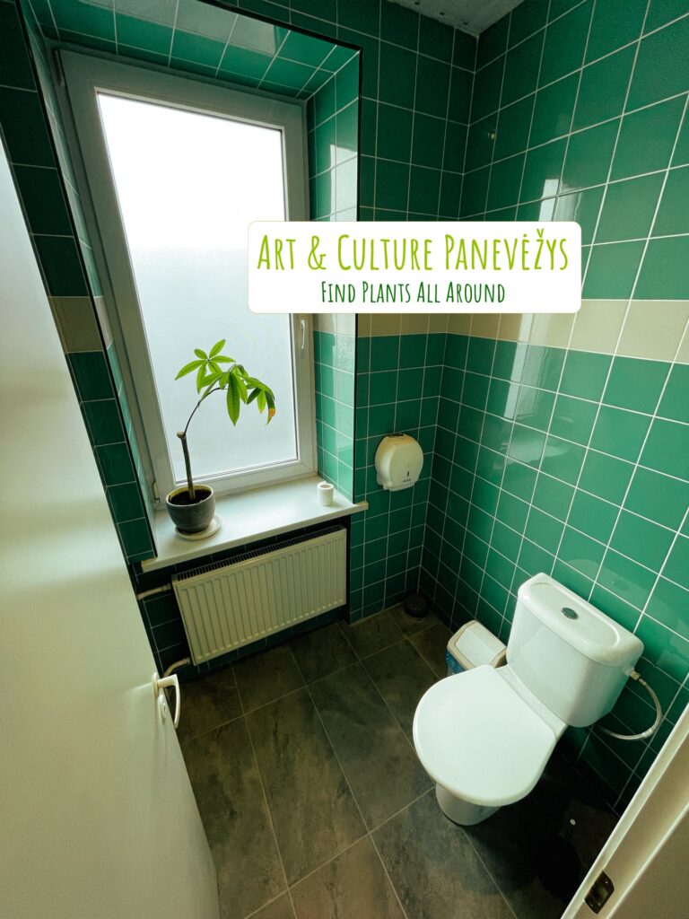Toilets – Artihost